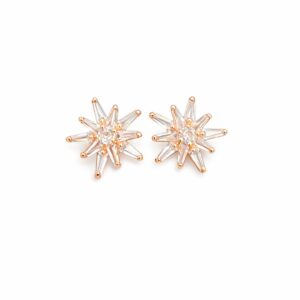 Sraws Golden Earrings